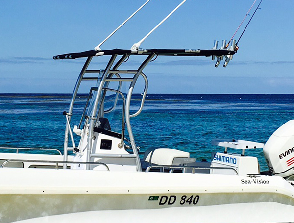 프로모션! Dolphin Pro2 센터 콘솔 보트 T  - Fishing Rod Holder 리뷰 및 가격
